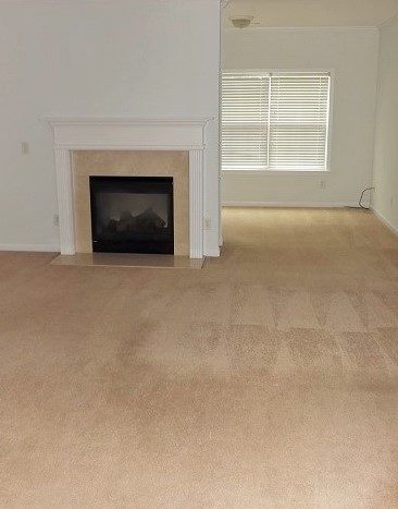 dual fireplace, carpet, sitting nook, ceiling fan, abundance of light and windows