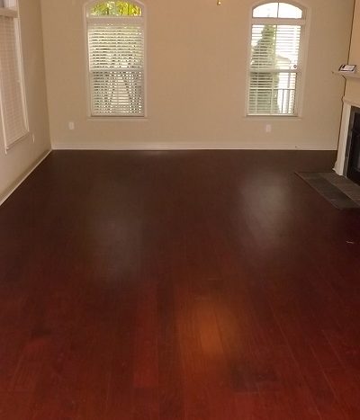 Georgetown Perimeter 2-story condo with stunning hardwoods and fireplace