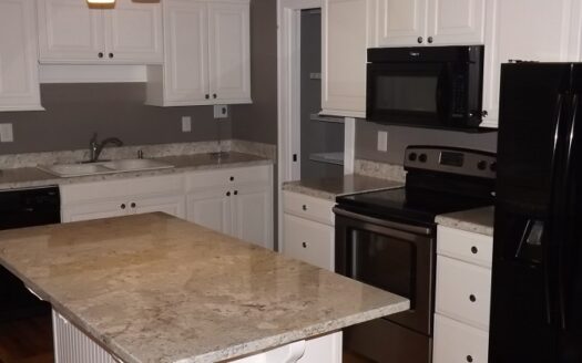 Old Forth Ward custom chef styled kitchen with island, pantry, breakfast nook, granite counters, etc.